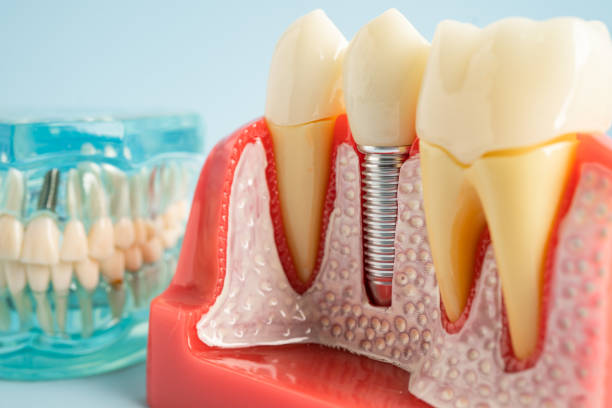 Best Emergency Dental Care  in Terre Haute, IN